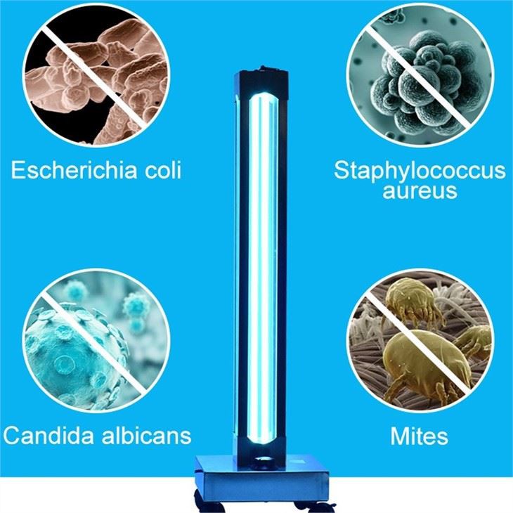 Esterilizador de luz UV móvil